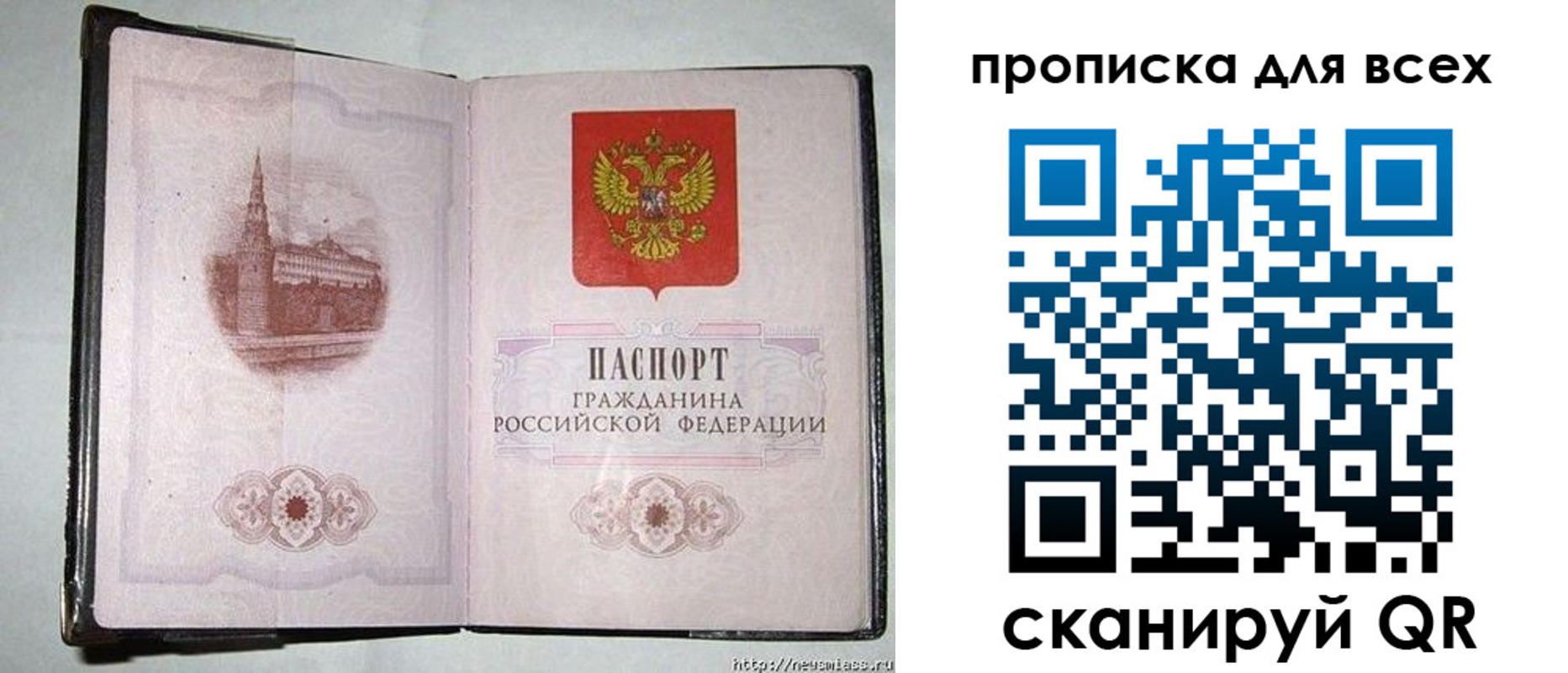 прописка в Киришах